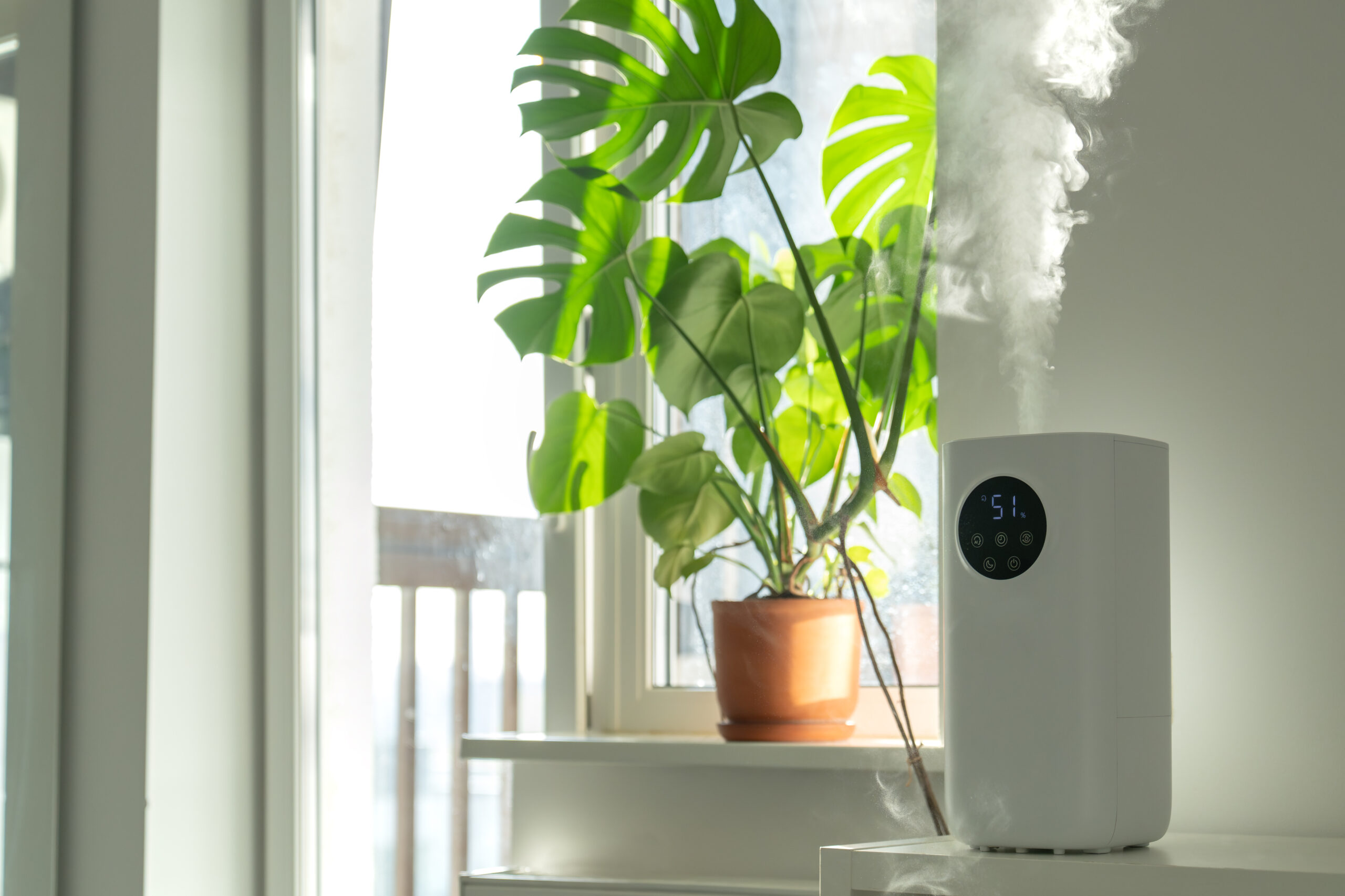 Enhancing Indoor Air Quality