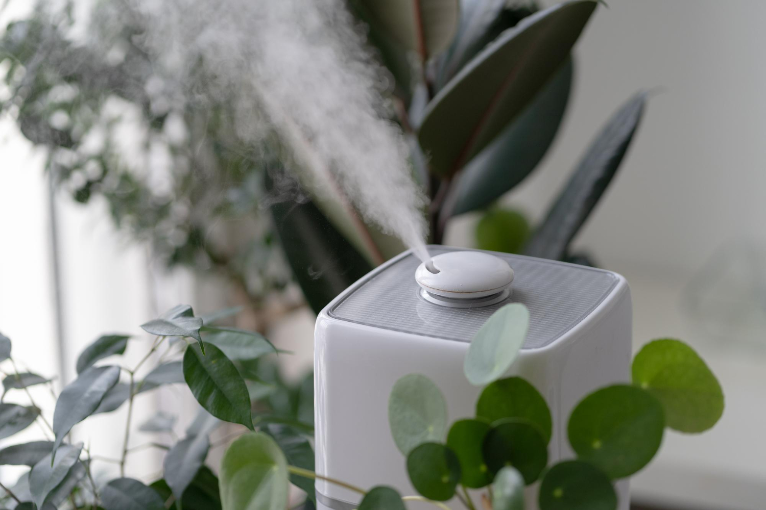 whole home humidifier